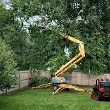 Best Tree Risk Assessment  in Crownpoint, NM