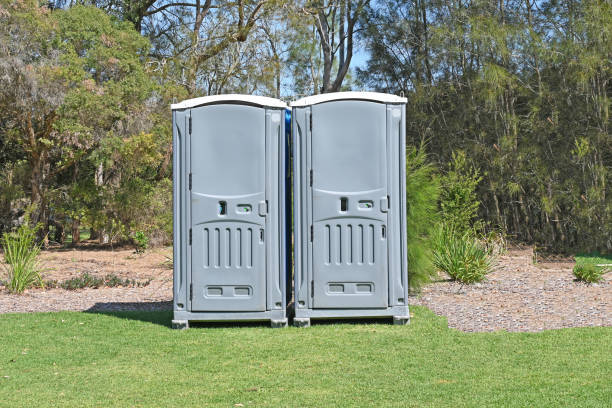 Best Pest Control for Lawns  in Crownpoint, NM