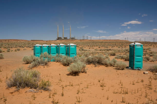 Best Grass Overseeding  in Crownpoint, NM